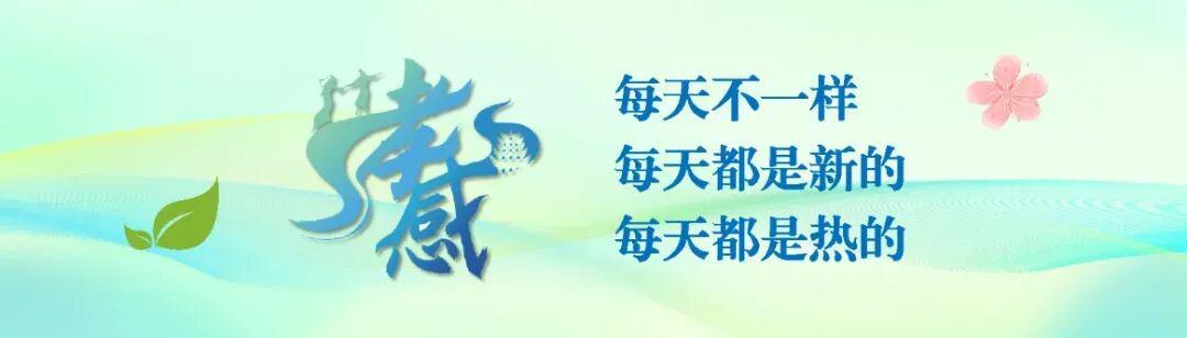 蜘蛛直播官方入口-孝感孝傲江湖队，赢了！3:0！